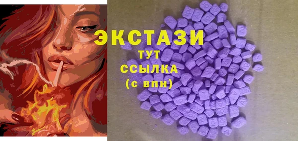 гашик Алексин