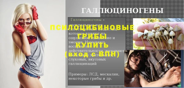 прущие крисы Арсеньев