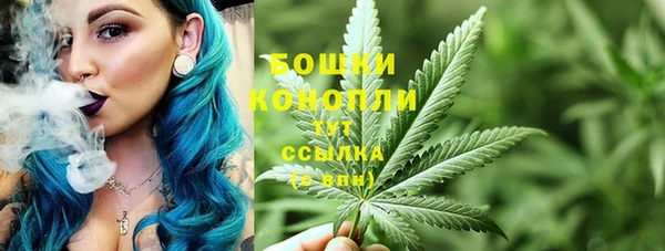 прущие крисы Арсеньев