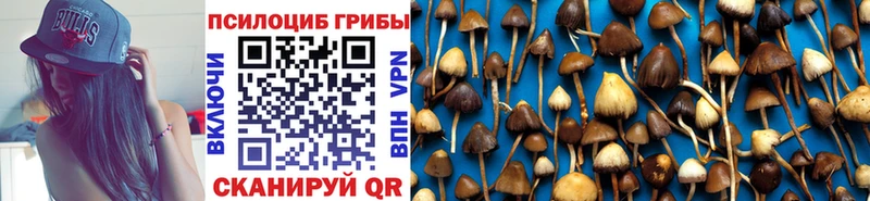 Купить  Янаул  Псилоцибиновые грибы мицелий 